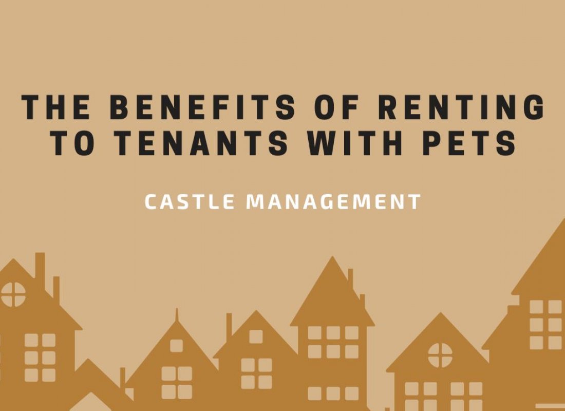 The Benefits of Renting to Tenants with Pets